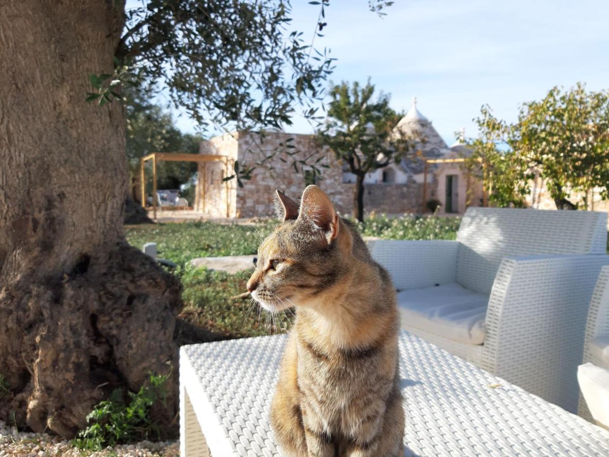 Il Fiore Della Vita Trulli Country House Conversano Luaran gambar