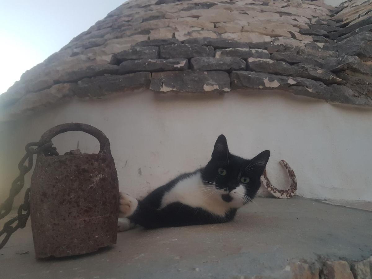 Il Fiore Della Vita Trulli Country House Conversano Luaran gambar
