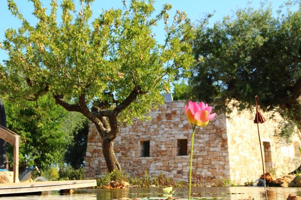 Il Fiore Della Vita Trulli Country House Conversano Luaran gambar